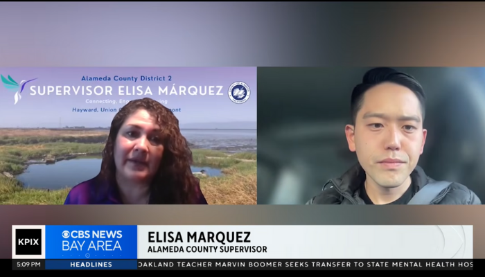 people protesting with signs